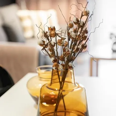 666 Bulwary Stare Miast No1 * Stettino